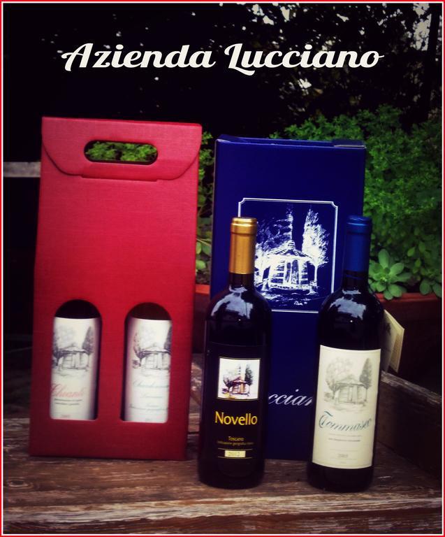 Agriturismo Lucciano San Casciano in Val di Pesa Pokoj fotografie