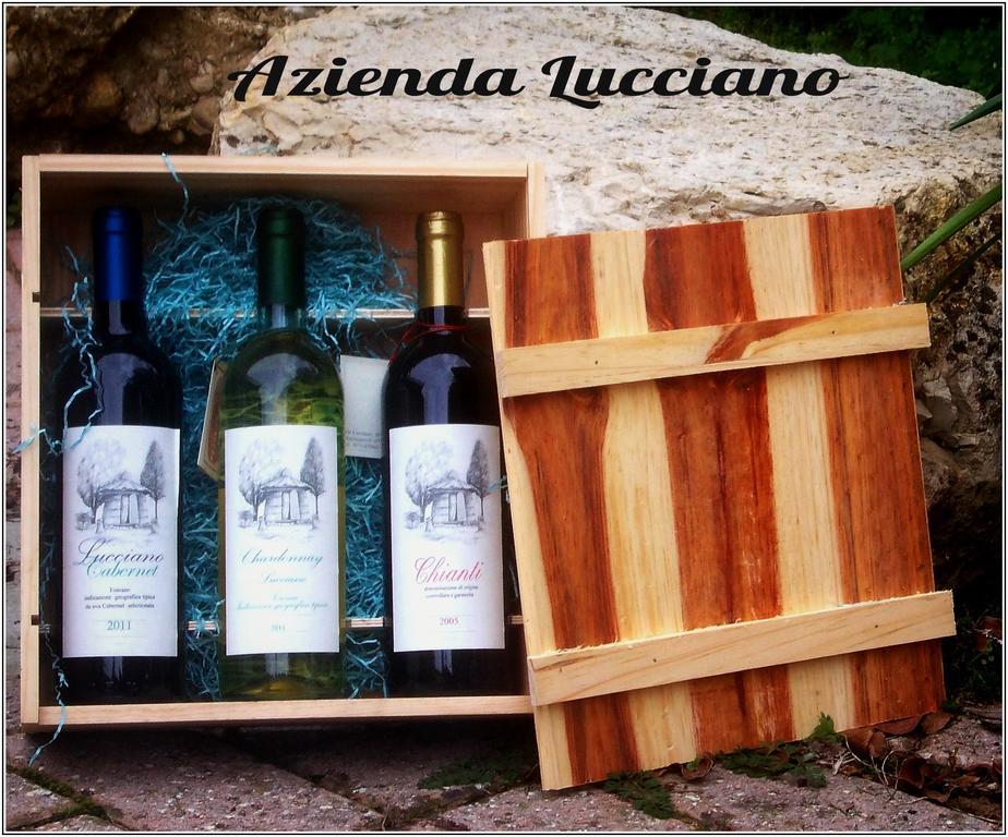 Agriturismo Lucciano San Casciano in Val di Pesa Pokoj fotografie