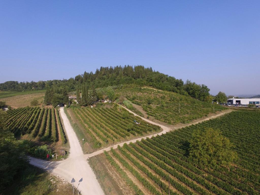 Agriturismo Lucciano San Casciano in Val di Pesa Exteriér fotografie