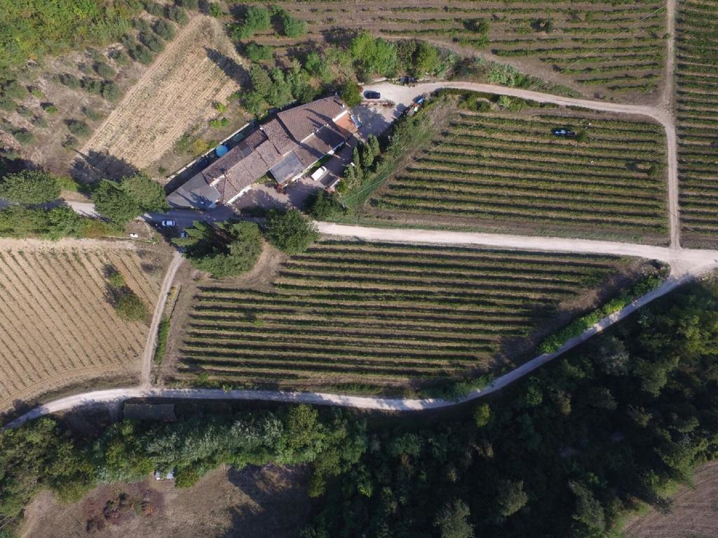 Agriturismo Lucciano San Casciano in Val di Pesa Exteriér fotografie