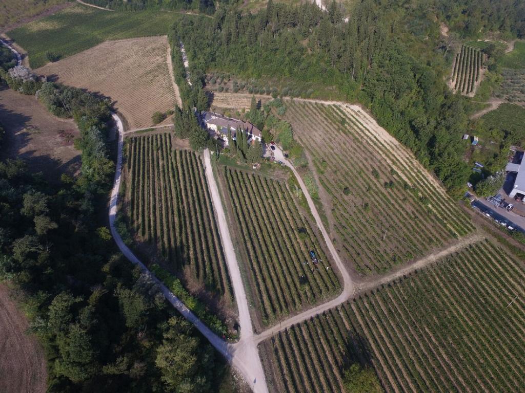 Agriturismo Lucciano San Casciano in Val di Pesa Exteriér fotografie